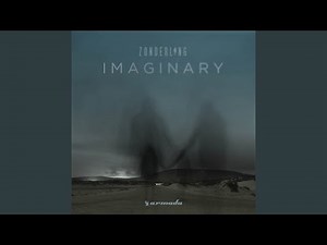 Imaginary