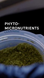 Unlock your skin's potential with phyto-micronutrients! 🔓✨ Phyto-micronutrients are powerful plant-based vitamins and minerals that benefit the overall appearance of our skin. Our Artistry Skin Nutrition Defying and Correcting Serums are the first Artistry products to incorporate this phyto-micronutrient approach, helping address key skin concerns 🙌 #Artistry #ArtistrySkinNutrition #ArtistrySuperSerums | Artistry