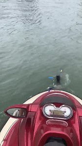 60K views · 337 reactions | This trailer thing seems to be common now! | Bogged | Facebook