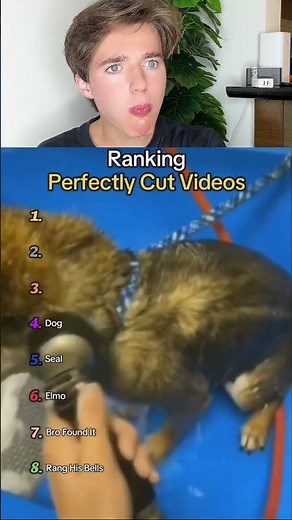 Perfectly cut compilation 2020 🙂‪@SpeedMcQueen‬