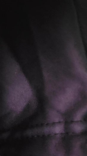 merry christmas chippas #humor #merry Christmas #viral