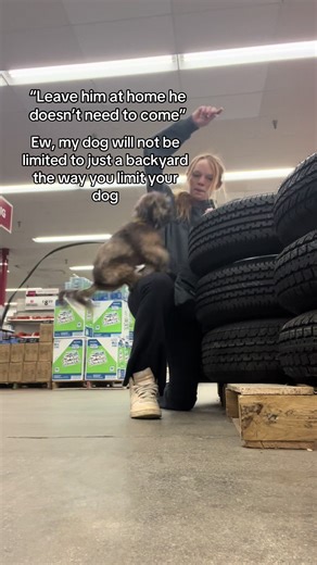 #backyard #limit #smalldog #tricks #mutt | dog