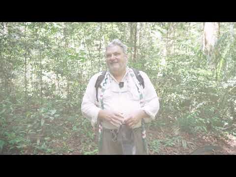 Daniel Barthelemy (CIRAD) nous parle du projet Pl@ntNet porté par One Forest Vision