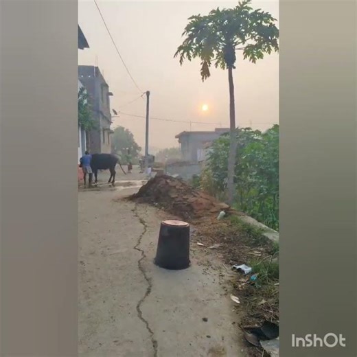 एक बम फोर के घर का पानी का डिब्बा उङा डाला😃🎇