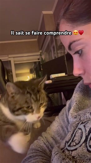 Communication des chats 😍♥️