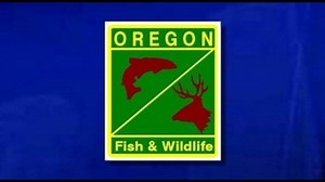 ODFW's fish hatcheries are back open for visitors