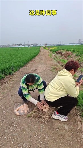 Mystery Unveiled: Candy Mama's Enigma