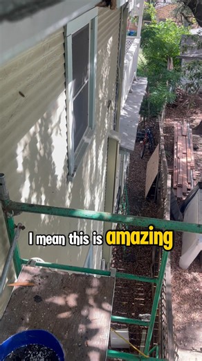 Out in Wurzbach, San Antonio, we found a bundle of busy, determined honeybees who rebuilt an entire section of comb in just seven days. Even tiny new cells were already forming — proof of how hardworking and resilient these pollinators truly are. To reach them, our team built a 30-foot scaffold, carefully climbing high above the ground to safely access the colony. What we uncovered was stunning: 🍯 A full section of fresh honey storage 🧱 Newly rebuilt comb 🐣 Young developing cells (“baby ones”