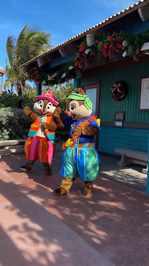 Chip and Dale are very cute in their Castaway Cay outfits! We stopped at the island yesterday during our Disney Destiny preview cruise. #hosted #chipanddale #chipndale #ticettac #dcl #disneycharacters #disneycruise #disneycruiseline #disneydestiny | Mousesteps
