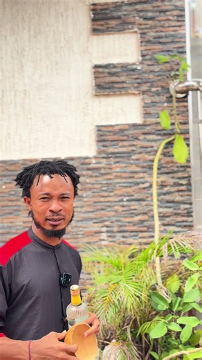 Exploring Spirituality and Nature Connection