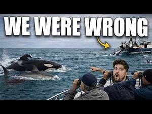 South Africa Lost Its Sharks: We Blamed The Wrong Suspect