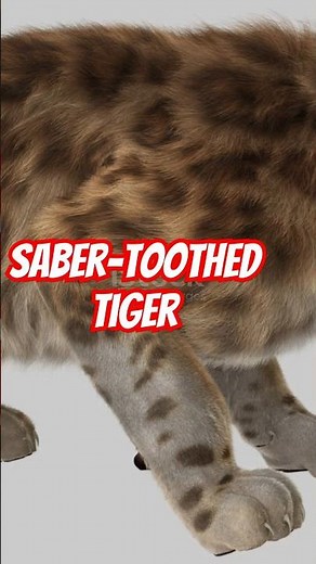 🦁 How the Smilodon (Saber-Toothed Tiger) Became Extinct 🦷🔥 #facts #extinctanimals #animals