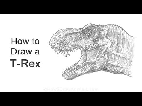 How To Draw a T-Rex (Tyrannosaurus Rex)