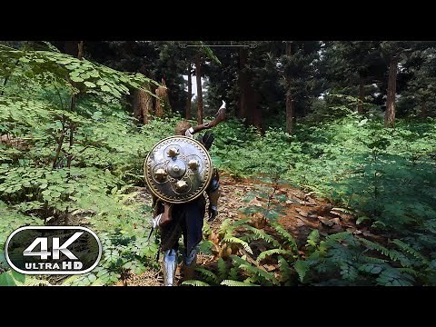 Skyrim SE 4K Ultra Modded Gameplay (4K 60FPS PC)