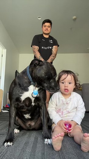 Heartwarming Moments Between Child and Dog