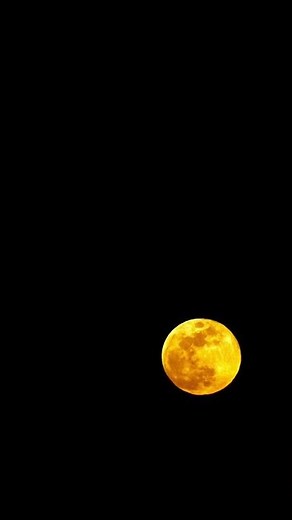 Leo Full Moon 2026 | The "Snow Moon" Rises (4K Time-lapse)
