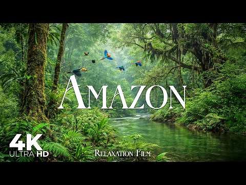 Amazon 4K • Untouched Jungle Ambience | Relaxation Film with Meditation Music