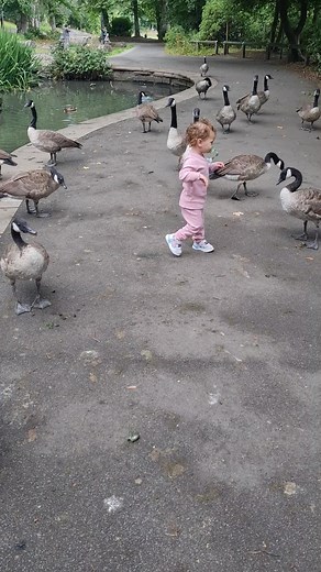 Divertido baile de gansos: ¡deja que sueltes el cuerpo!