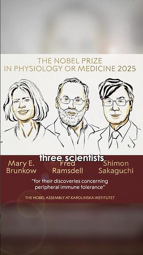 2025 Nobel Prize in Medicine EXPLAINED: The Treg Cell Discovery