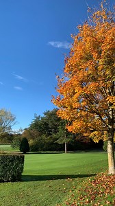 28 reactions · 5 comments | Second Hand Charity Sale starts tomorrow 10am - 2pm! Some amazing high quality items on offer, all proceeds go to the @the_bhf ⛳️ Grab a bargain, sale on Wed, Thur & Fri while stocks last | Eden Golf Club | Facebook