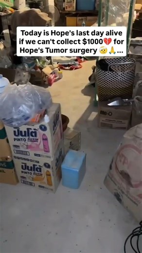 Hope is holding on by a thread... and she needs us.🧵💔This is Hope. She has endured more pain#usa #uk