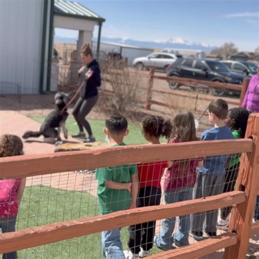 Recently, a group of students from Aragon Elementary School visited our shelter in Peyton, CO as part of their state standard for learning about careers that help animals. Our staff and volunteers exhibited this in a variety of ways, engaging the children in learning about ways they can touch the future. At NMDR, we believe education of the heart and mind is a major component for affecting change in the future. We’re happy to be a small part of that! Visit our website to learn more about our mis
