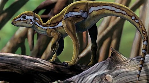 How a handful of bones revealed a surprisingly tiny dinosaur