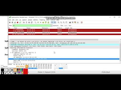 Distance Vector - Split Horizon, Poison Reverse, Route Poisoning Explained