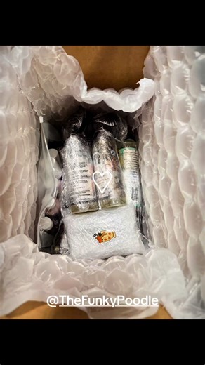 The lovely Funky poodle came in and oh my lord the new facewash is to die for and smells so good used the blueberry pancake facial on Roscoe my big mastiff mix a I could eat him right up 🫣🤤 1000/10 #thefunkypoodle #doggrooming #doggroomer #fyp #fearfree