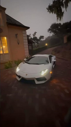 DEAR BRUCE + lamborghini aventador