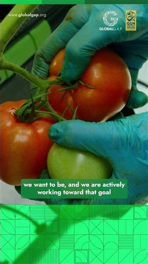The mission shaping the future of farming in Japan... #farming #agriculture #tomatoes #japan