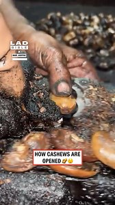 This is how cashews are opened 😲🥜 | LADbible
