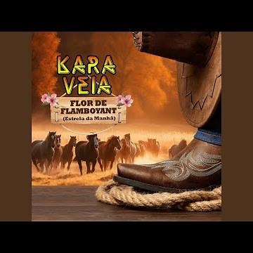 Flor de Flamboyant - Estrela da Manhã
