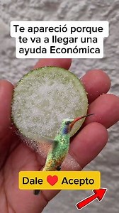 Heri Jimenez on Reels