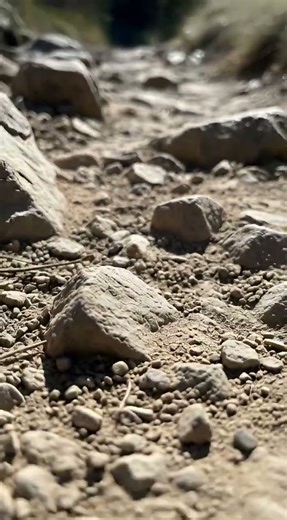 I Stepped Off the Trail and Found a Raw Citrine Crystal