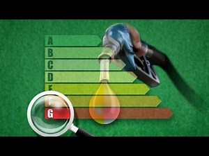 Environnement : L'énergie verte des biocarburants