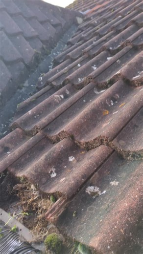 Importance of Keeping Gutters Clean for Home Safety