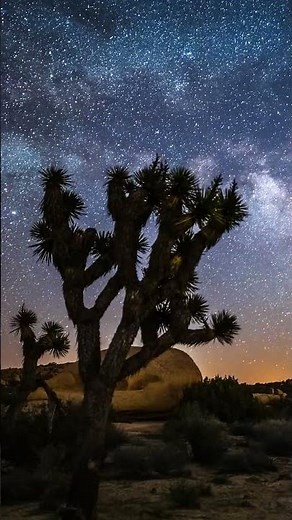 Stardust • Beautiful Relaxing Music & Starry Night (Preview) #Shorts