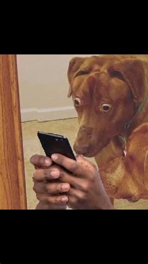 Aerial on Instagram: "Another W for the Hunting Horn mains #mhwilds #monsterhunterwilds #monsterhunterwildsedit #monsterhunter #gaming #mhws #monsterhunterworld #モンハンワイルズ #gaming #fyp #shortsfeed #mhworld #mhgu #mhiceborne #mhw #mhwib #mhrise #mhsunbreak #mhr #mhrsb #elderdragon #monhun #capcom #PlayStation #ps5 #ps5pro #Xbox #Nintendo #mobile #pc Music: KCK Mixes - TS PMO (Full Meme Audio) https://www.youtube.com/watch?v=EbmAsuOQQjA"