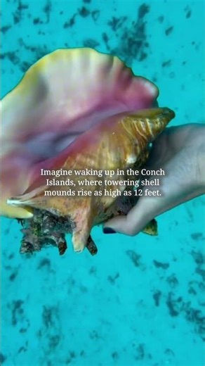 Imagine waking up in the Conch Islands, where towering shell mounds rise as high as 12 feet.