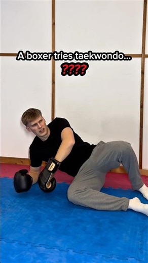 A BOXER tries taekwondo…