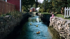 165K views · 2.2K reactions | Here, you can set your watch a half hour ahead, or you can just leave it at home. | Newfoundland & Labrador Tourism | Facebook