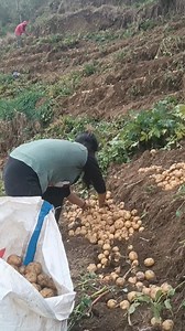 Cirila Aquino Jara on Reels