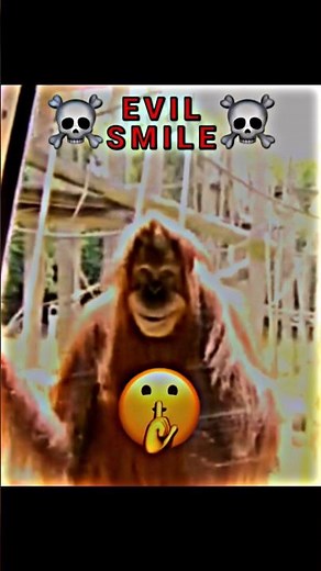 Evil Smile ☠️ #orangutan #edit #trolledit #trollfaceedit