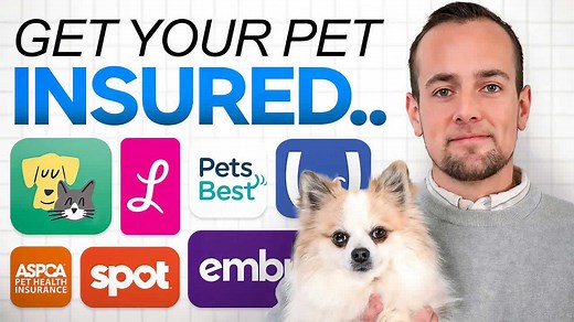 7 best pet insurance providers in 2025