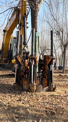 Revolutionary Tree Moving Machine: Changqing's Masterpiece for Pro Diggers