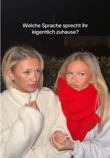 Albanian Family Language Dynamics at Home