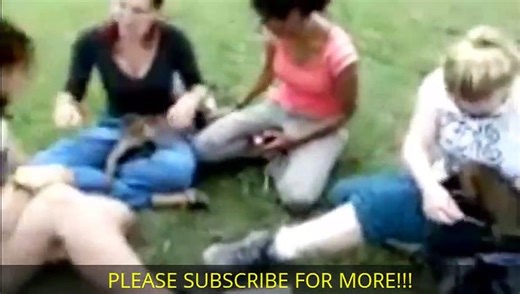 AMAZING Monkey Meeting Tourist #5 - Monkey Meeting With Visitor - Monkey Meeting Funny Videos