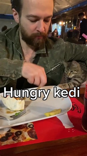 Wherever you go, cat will find u! #kedi #cat