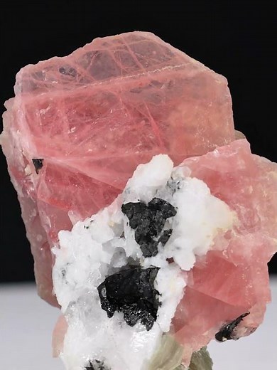 Rhodochrosite with Schorl, Muscovite, and Albite - Pakistan | Fine Art Minerals | Rhodochrosite |